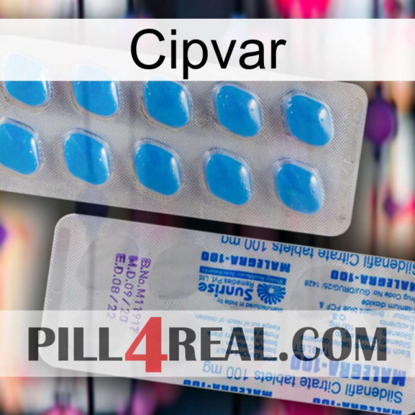 Cipvar new15